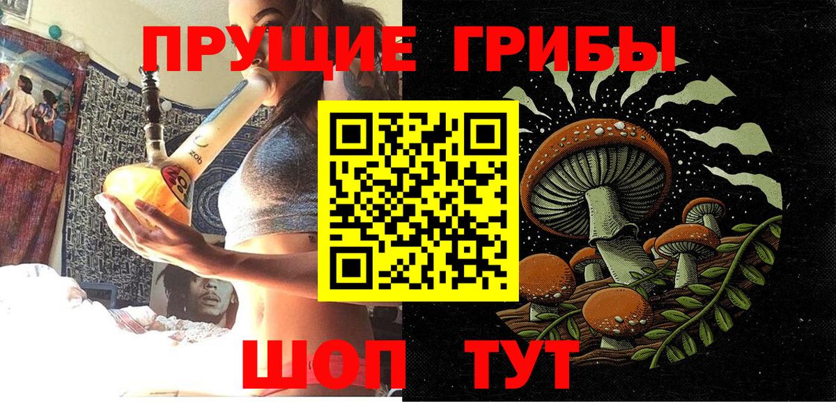Галлюциногенные грибы Psilocybe Нерюнгри